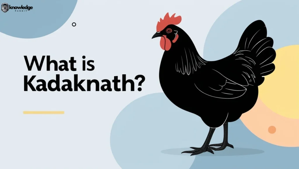 What is Kadaknath