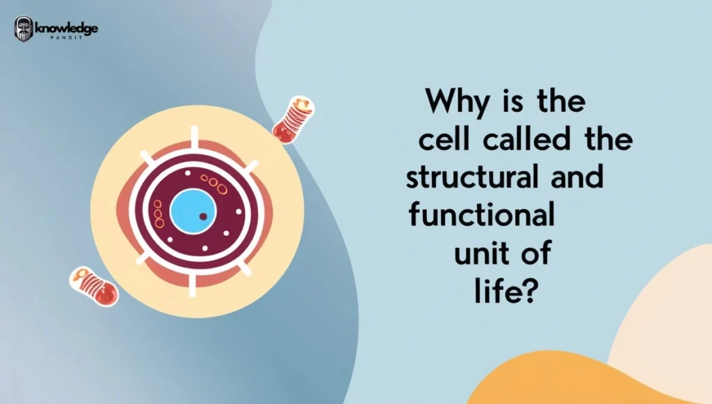 Why is the Cell Called the Structural and Functional Unit of Life?